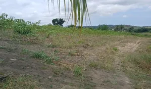 Secure a Plot of Land at Tsopoli Saglime Near New Airport C