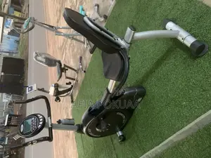 Recumbent Bike