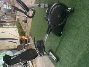 Recumbent Bike