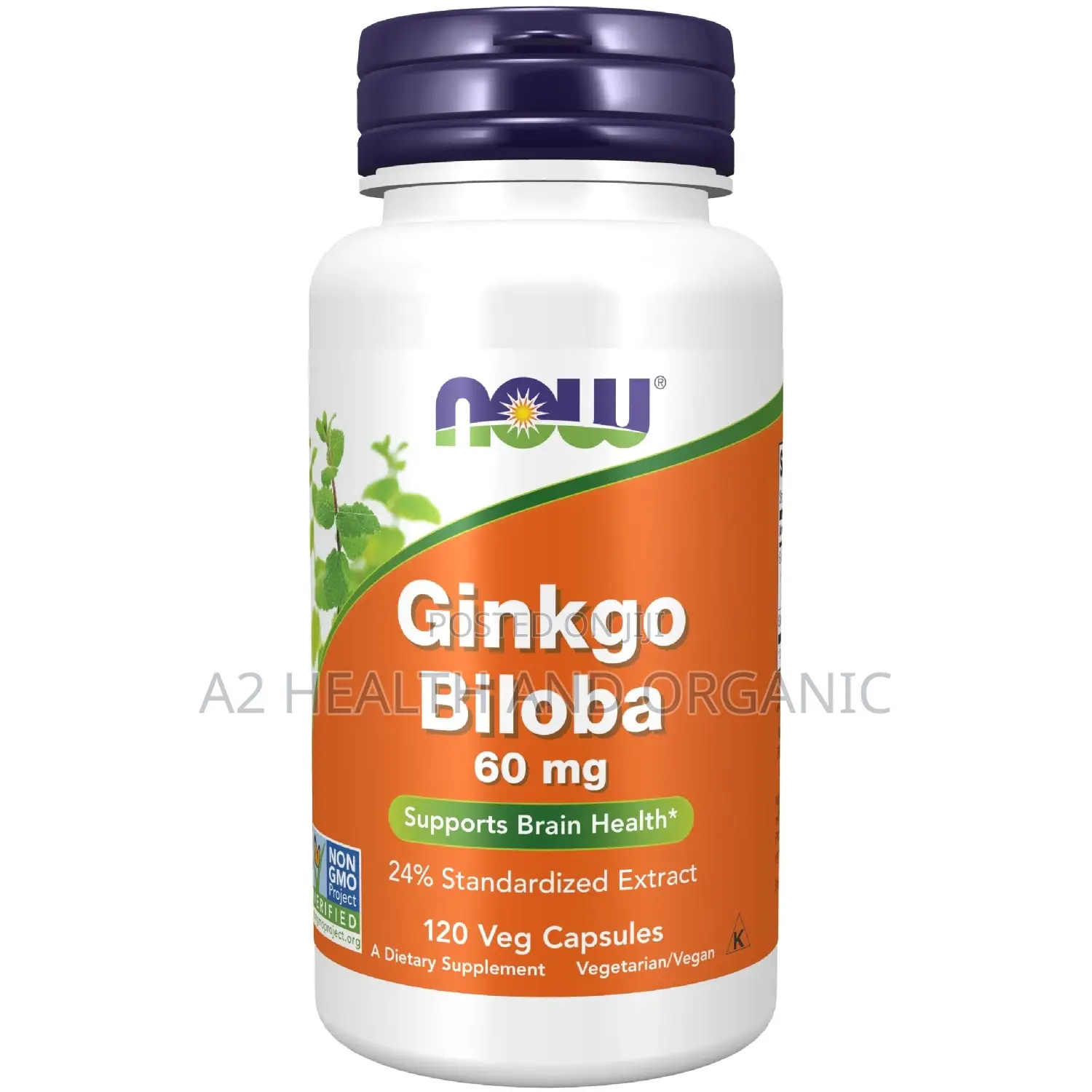 Now Ginkgo Biloba