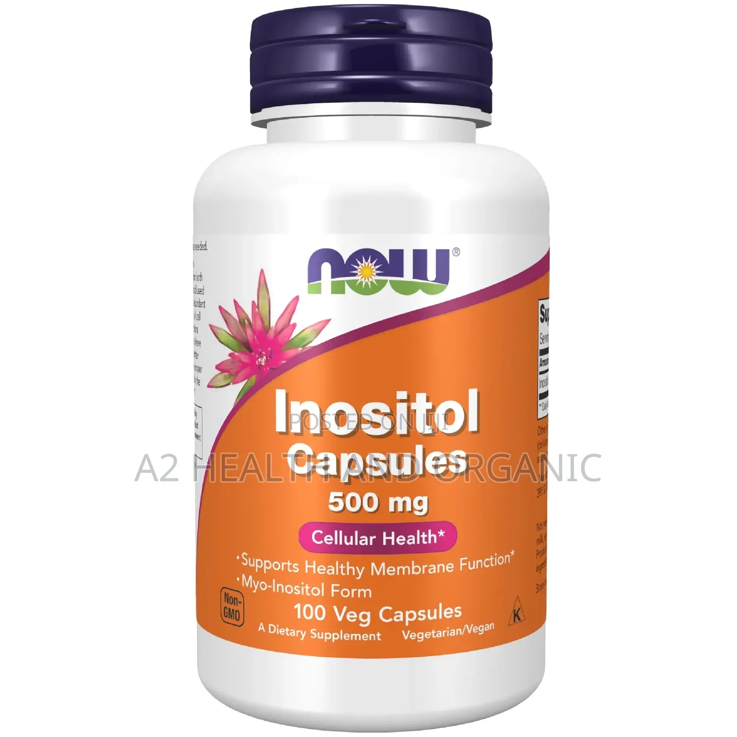 Now Inositol Capsules