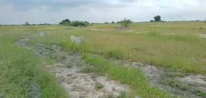 Serviced Plot of Land for Sale