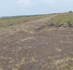 Serviced Plot of Land for Sale