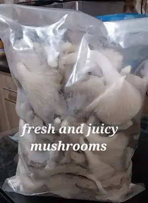 Fresh and Juicy Oyester Mushroom