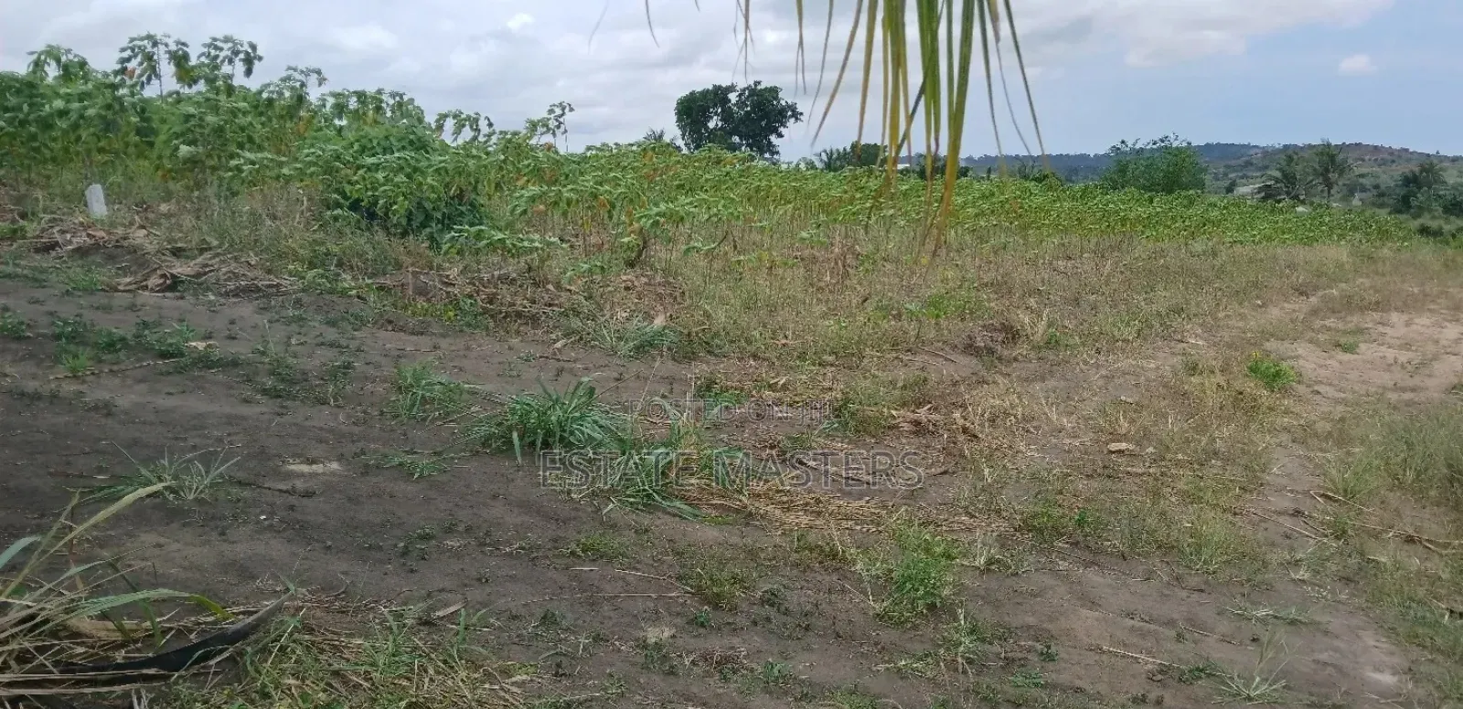 Residential Plots for Sale