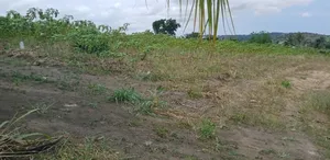 Residential Plots for Sale