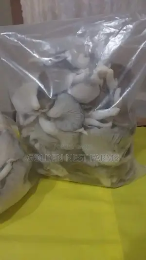 Fresh and Juicy Oyester Mushroom