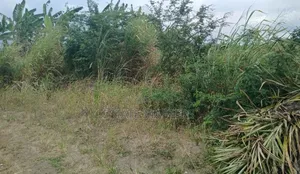 Grab a Litigation Free Land at Ningo