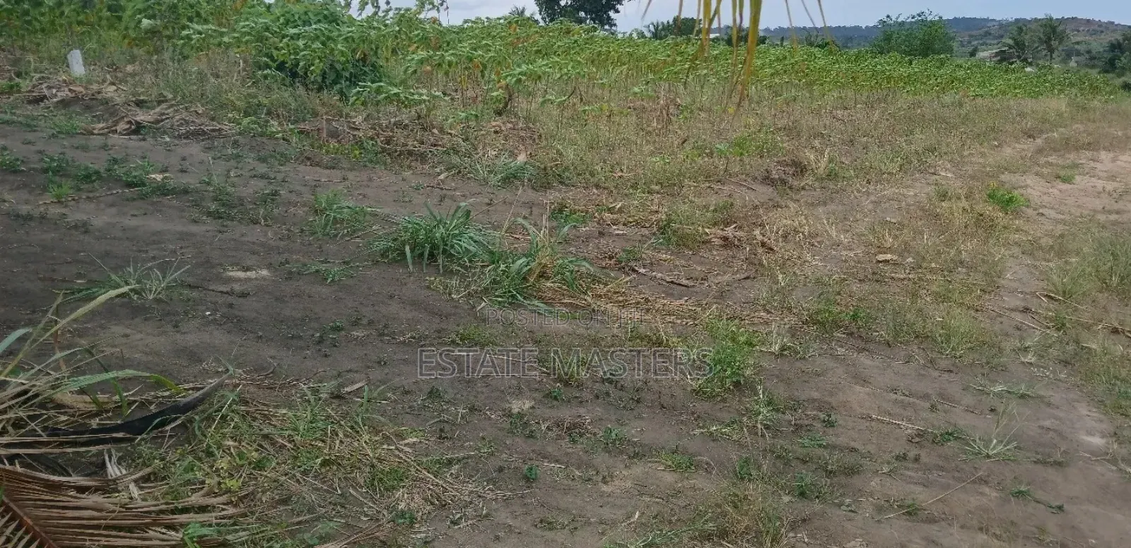 Grab a Litigation Free Land at Ningo