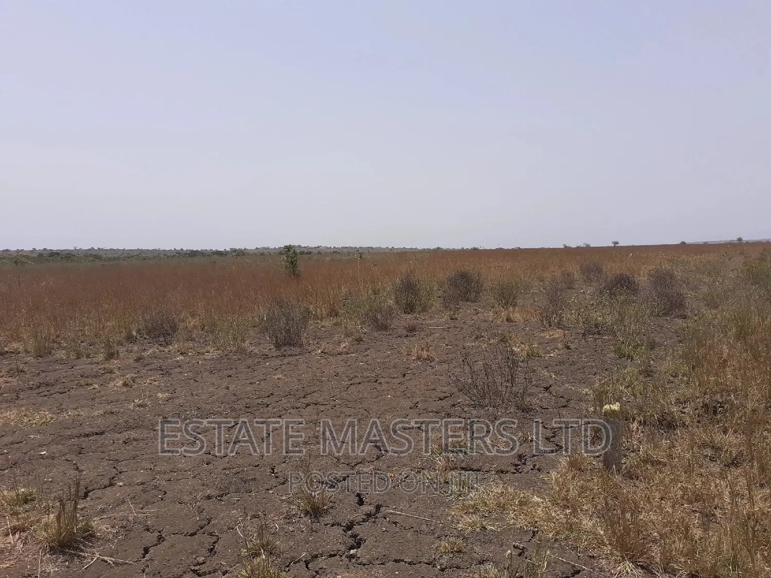 Ongoing Promo on Estate Plot