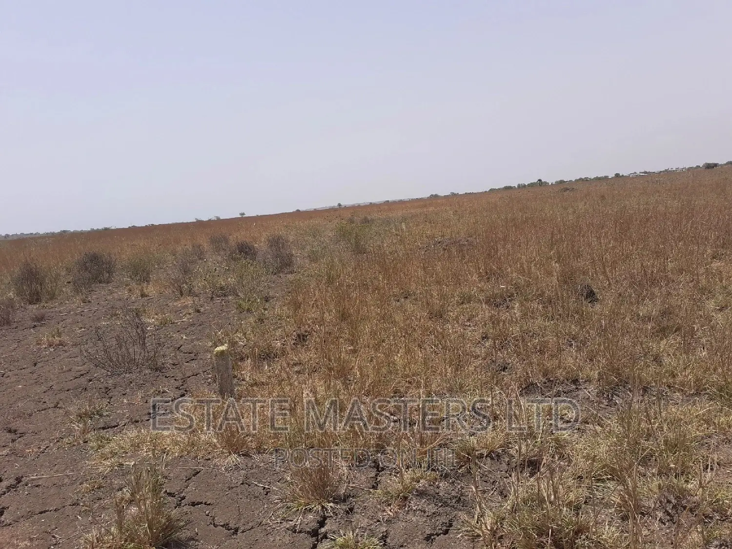 Ongoing Promo on Estate Plot