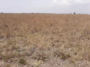 Ongoing Promo on Estate Plot