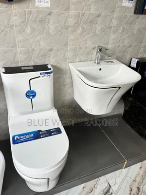 Frencia Black and White Combined Water Closet With Basin