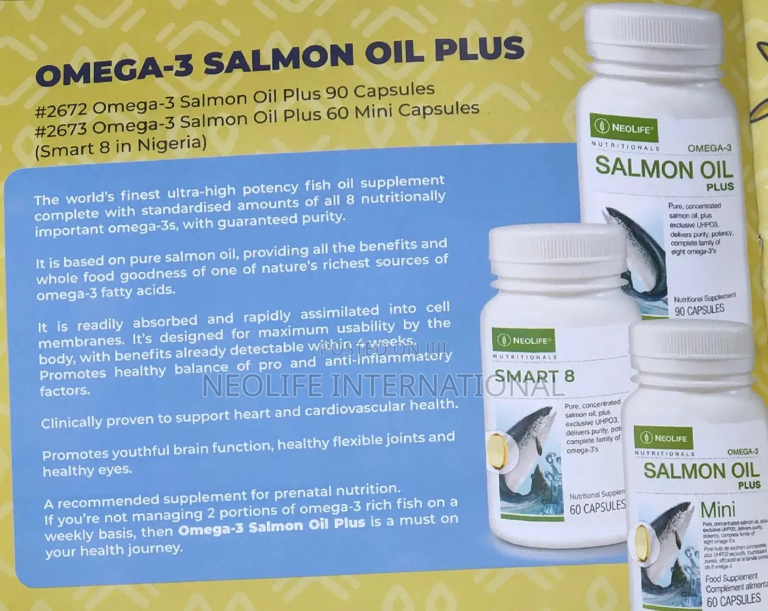 Omega - 3 Salmon Oil