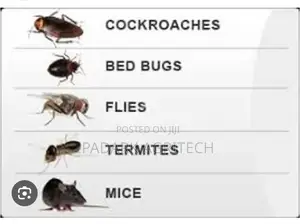 Pests Control Services