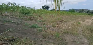 Service Plot of Land for Sale