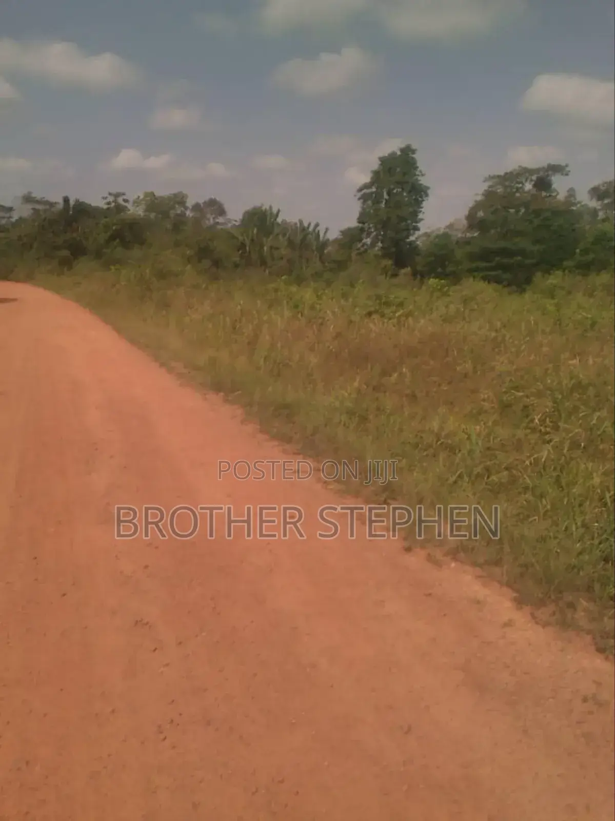 Farmland for Sale at Asamankese