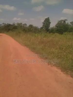 Farmland for Sale at Asamankese