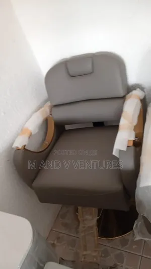 Salon Chair
