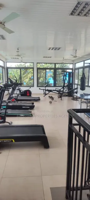 Furnished 3bdrm Penthouse in Cantonments for rent