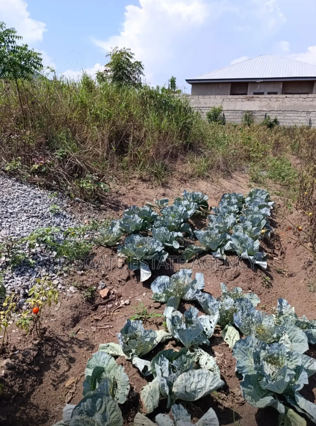 Land at Kasoa Millennium City in Kasoa Land & Plots for Sale, Pisgate