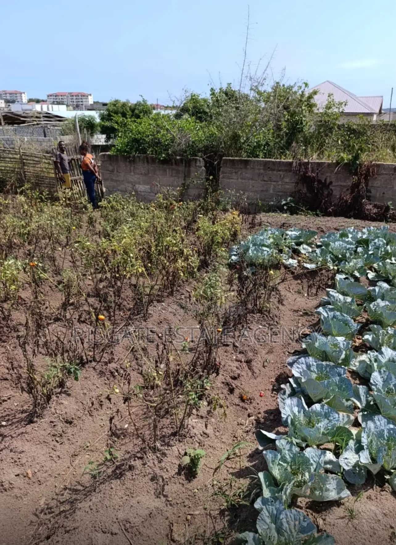 Land at Kasoa Millennium City in Kasoa Land & Plots for Sale, Pisgate