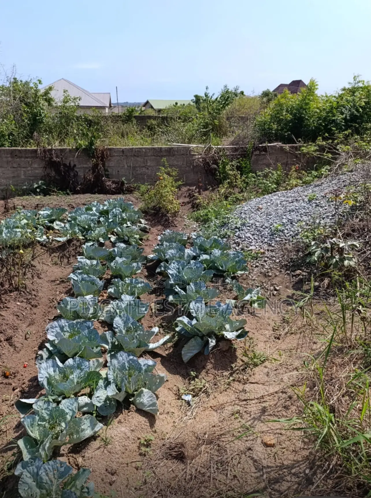 Land at Kasoa Millennium City in Kasoa Land & Plots for Sale, Pisgate