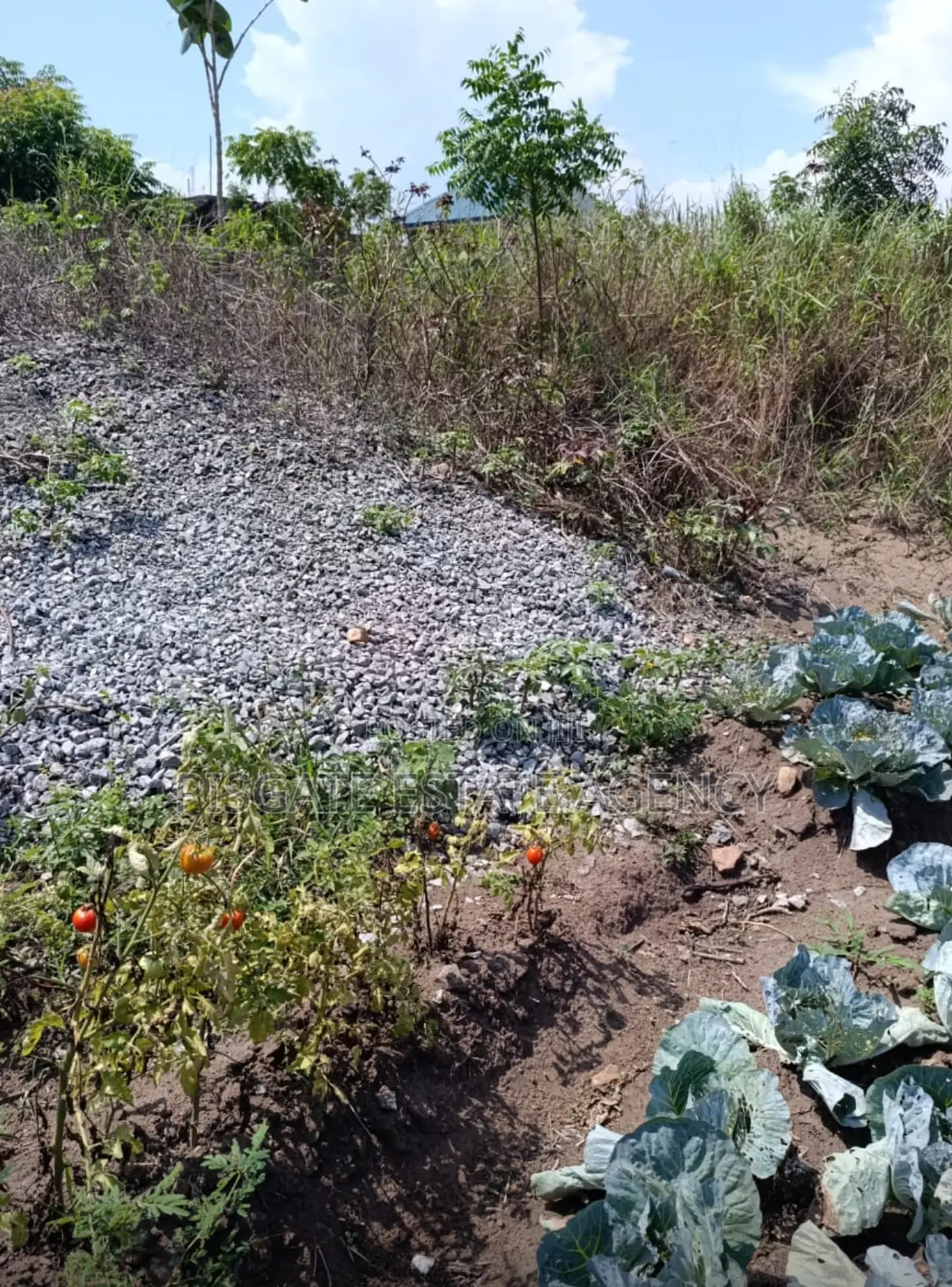 Land at Kasoa Millennium City in Kasoa Land & Plots for Sale, Pisgate