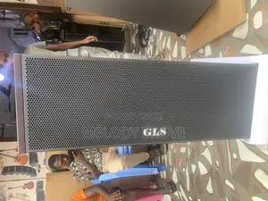 GLS 12inches Line Array