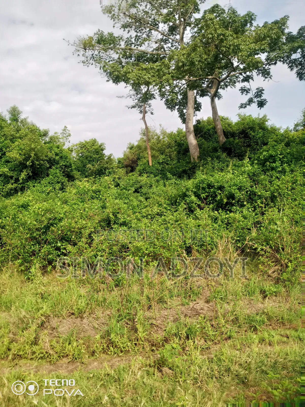 100 Acres Available for Sale