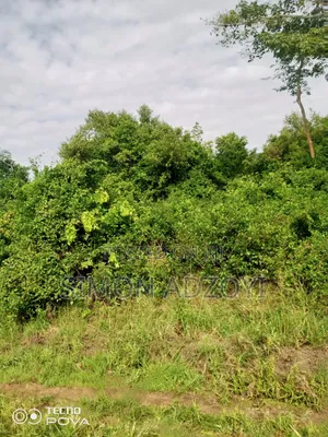100 Acres Available for Sale