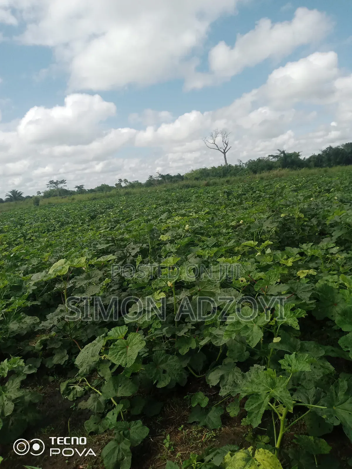 100 Acres Available for Sale