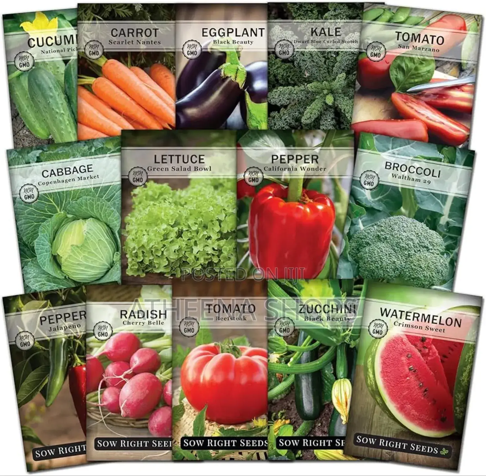 Vegetable Seeds for Sale Here