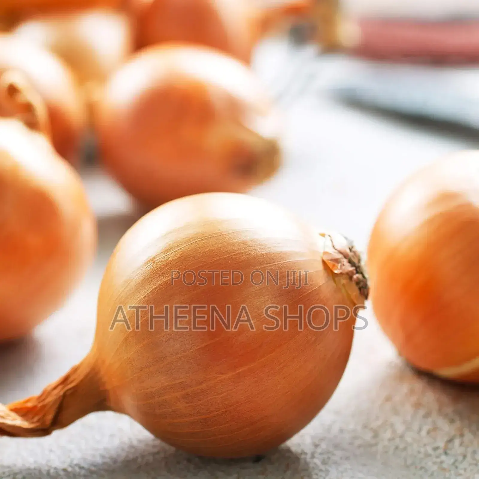 Vegetable Seeds for Sale Here