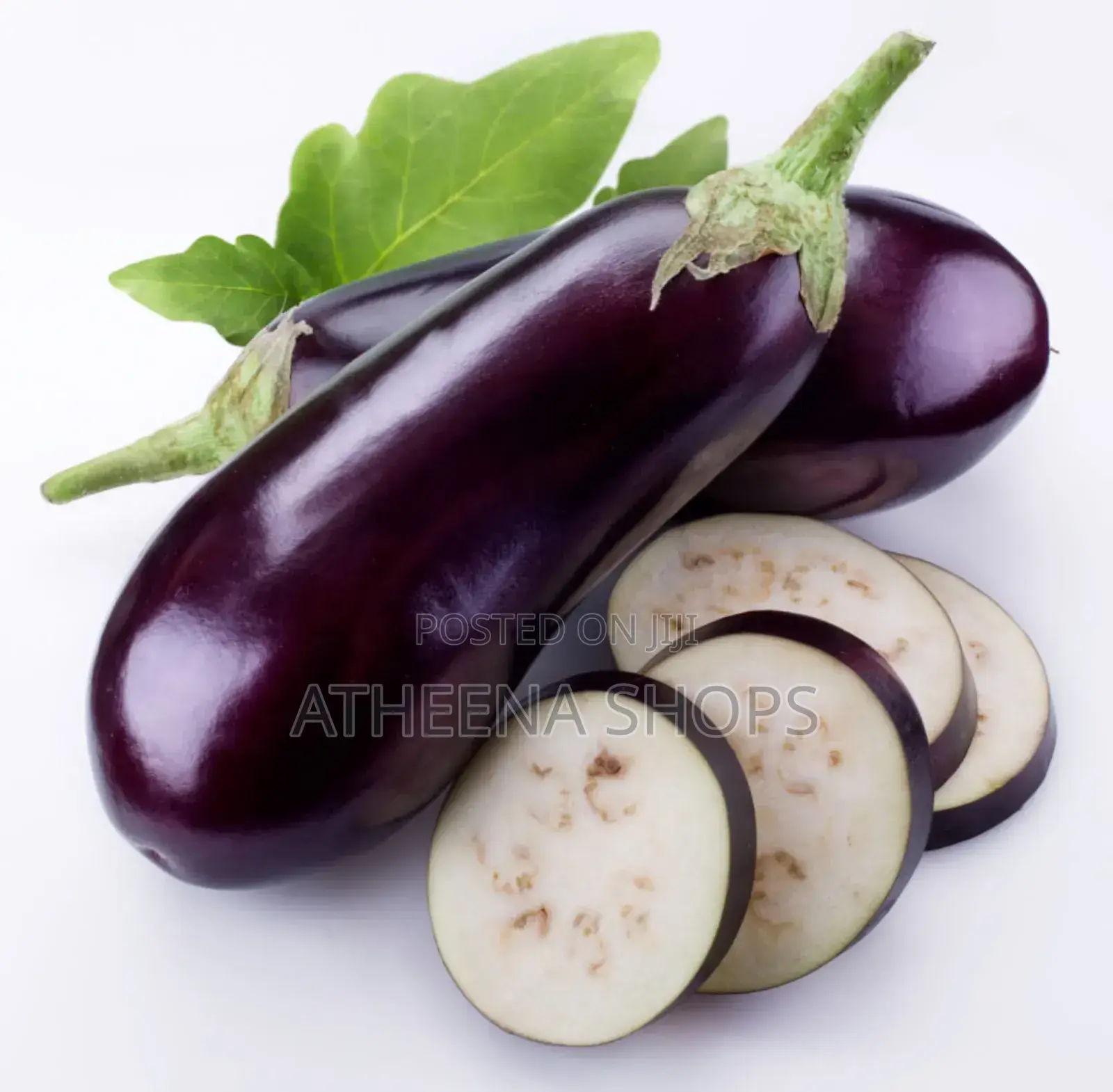 Vegetable Seeds for Sale Here