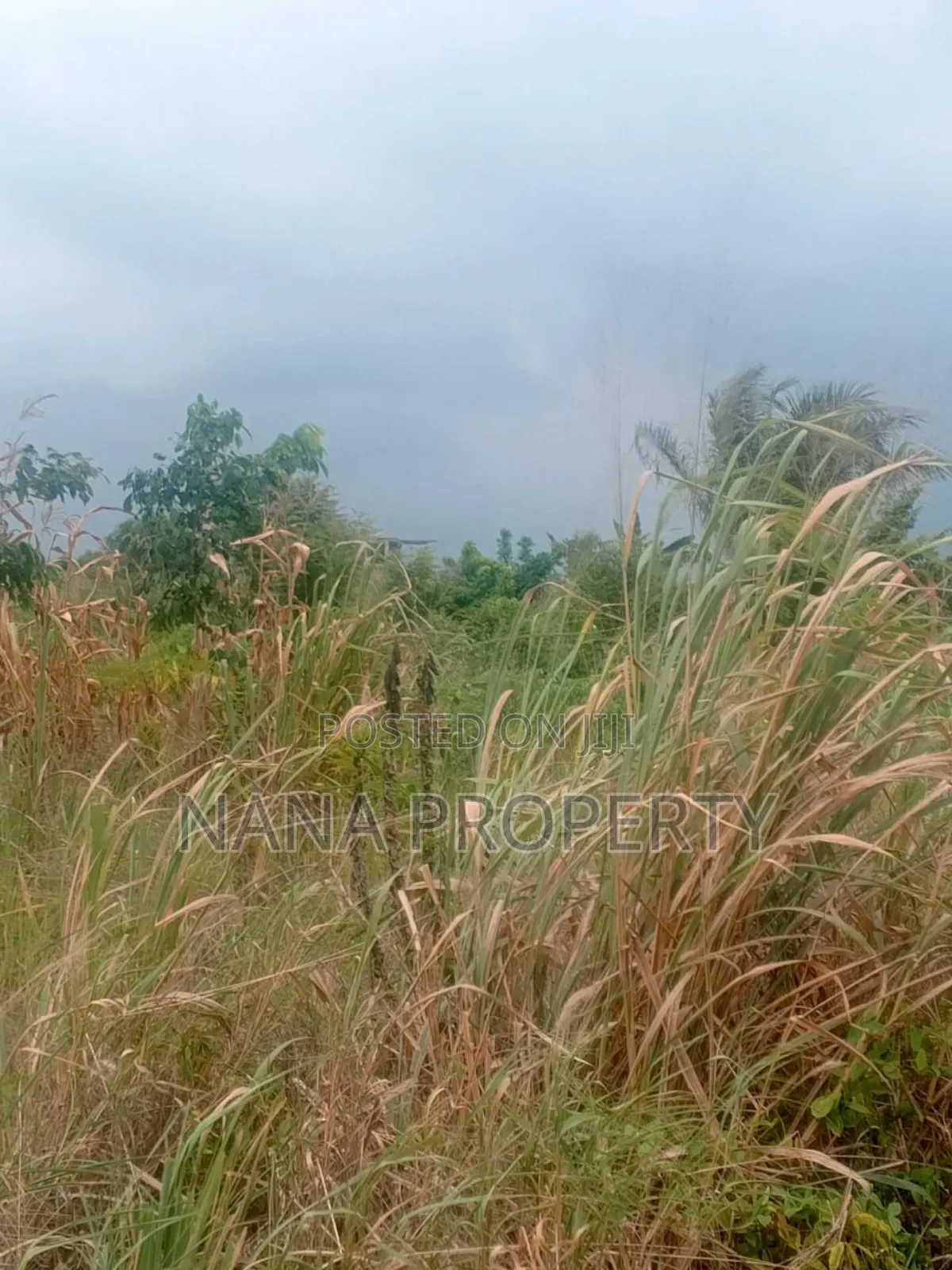 Four Plots of Land for Sale Located at Oyarifa Kuotaam Estat