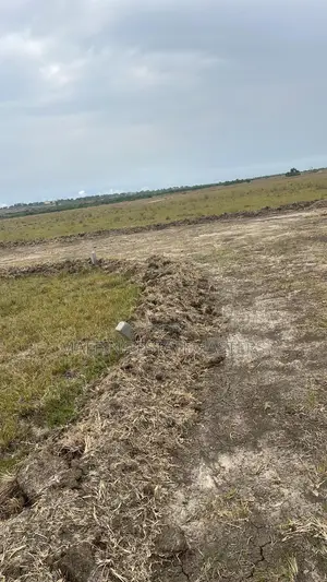 Litigation-Free Lands at Tsopoli for Sale