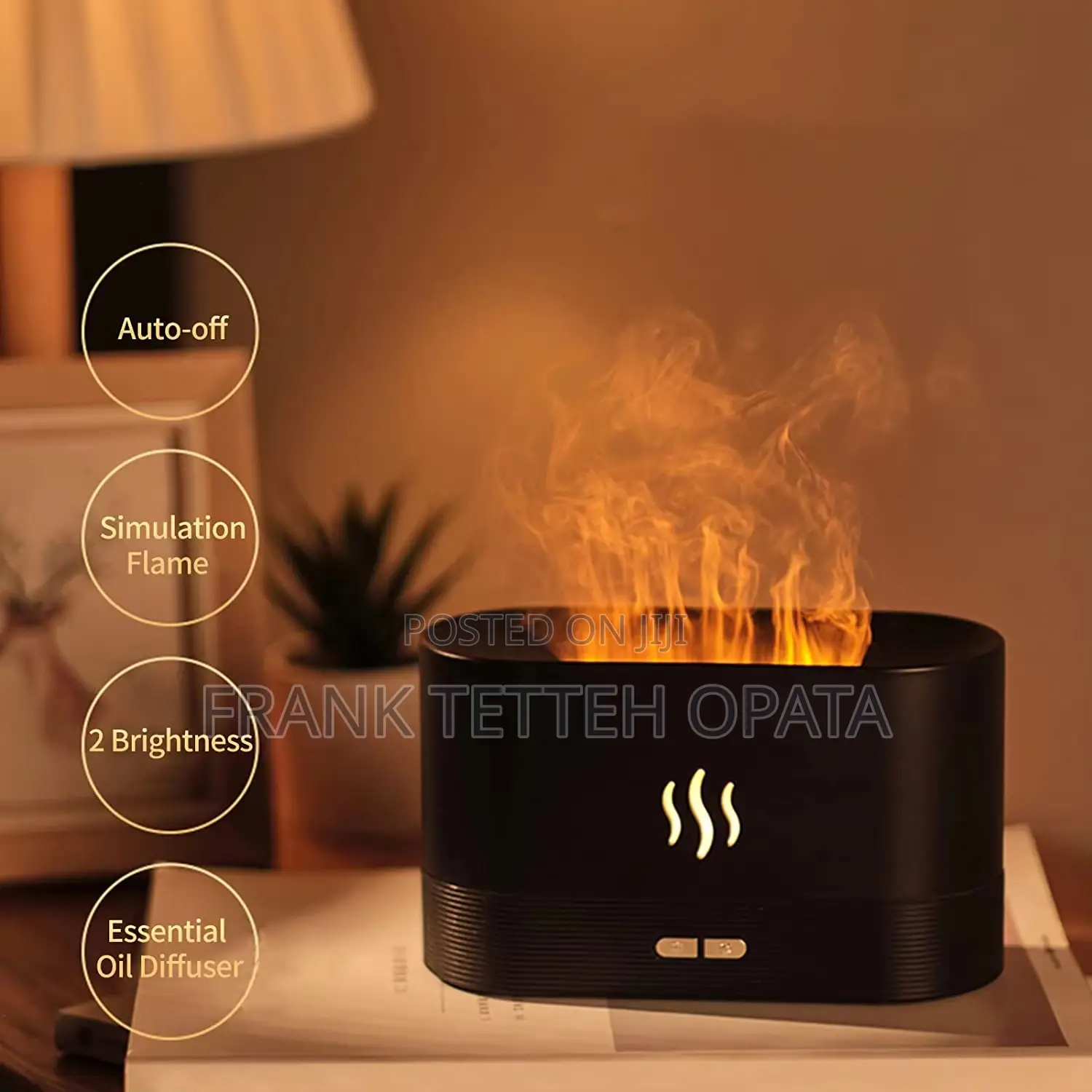 Flame Aroma Diffuser Humidifier With Spray