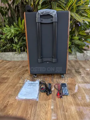 Professional Rechargeable Audio System With Microphone