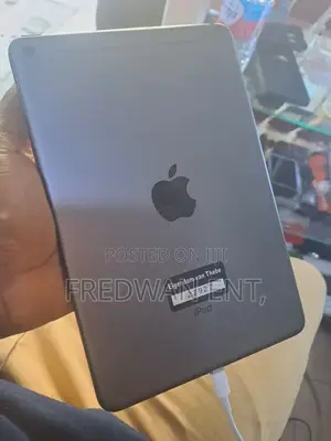 Apple iPad mini 5 64 GB Gray
