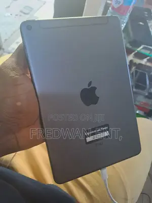 Apple iPad mini 5 64 GB Gray
