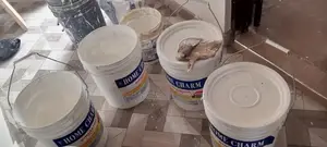 Decoration,Grafiato Design Paint Application, Pop Ardrill