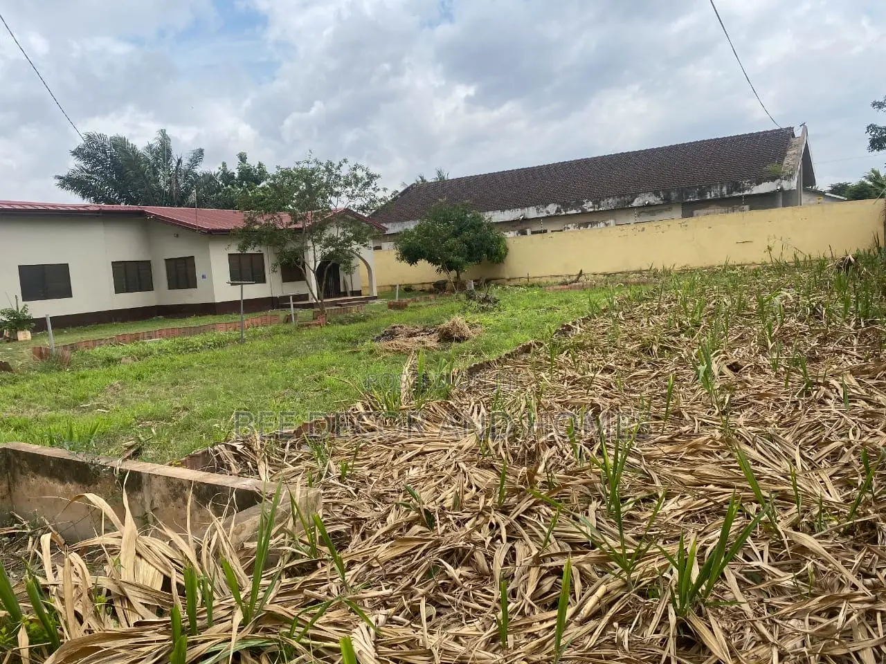 Sensational Land With and Old House