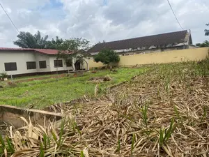 Sensational Land With and Old House