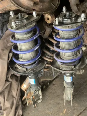 Ford Mustang Eco-Boost Shock Absorber