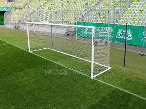 Professional Goal Posts With Net