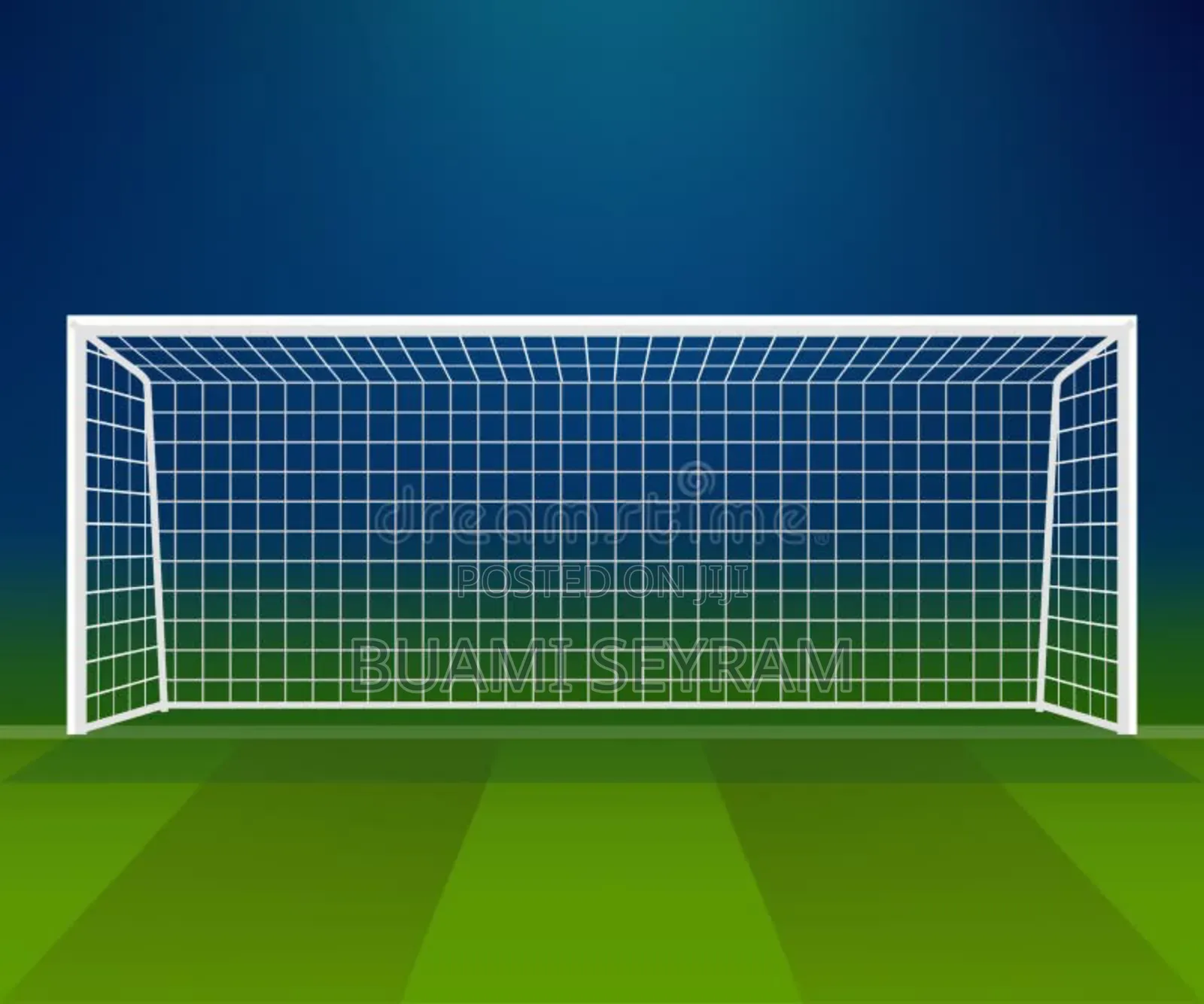 Professional Goal Posts With Net