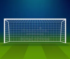 Professional Goal Posts With Net
