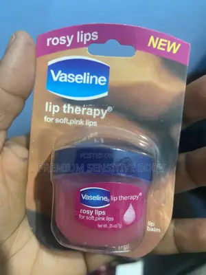Pure Vaseline Lip Balm 24 Pieces
