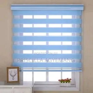 Beautiful Window Blinds